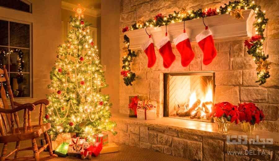 درخت کریسمس و آنچه راجع به آن نمی دانید