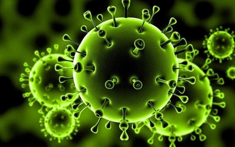 استرالیا بخاطر اصرار آمریکا بر آزمایشگاهی بودن ویروس کرونا مستأصل شده است