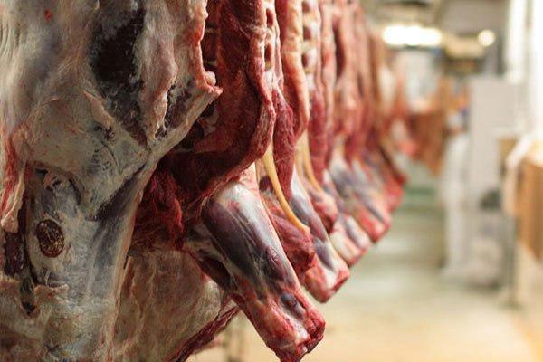 اختلاف 50 درصدی قیمت گوشت از تولید تا مصرف