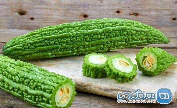 مزایای خربزه تلخ برای دیابتی ها مزایای خربزه تلخ برای دیابتی ها