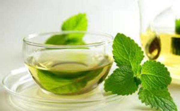 چای نعناع جهت رفع تهوع