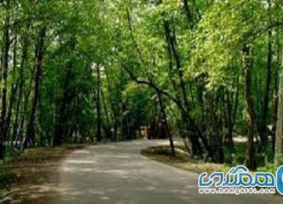 پارک جنگلی دکتر درستکار یکی از پارک های دیدنی رضوانشهر است