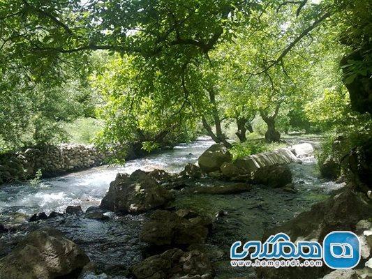 دره کهمان یکی از جاذبه های دیدنی استان لرستان به شمار می دره کهمان یکی از جاذبه های دیدنی استان لرستان به شمار می رود